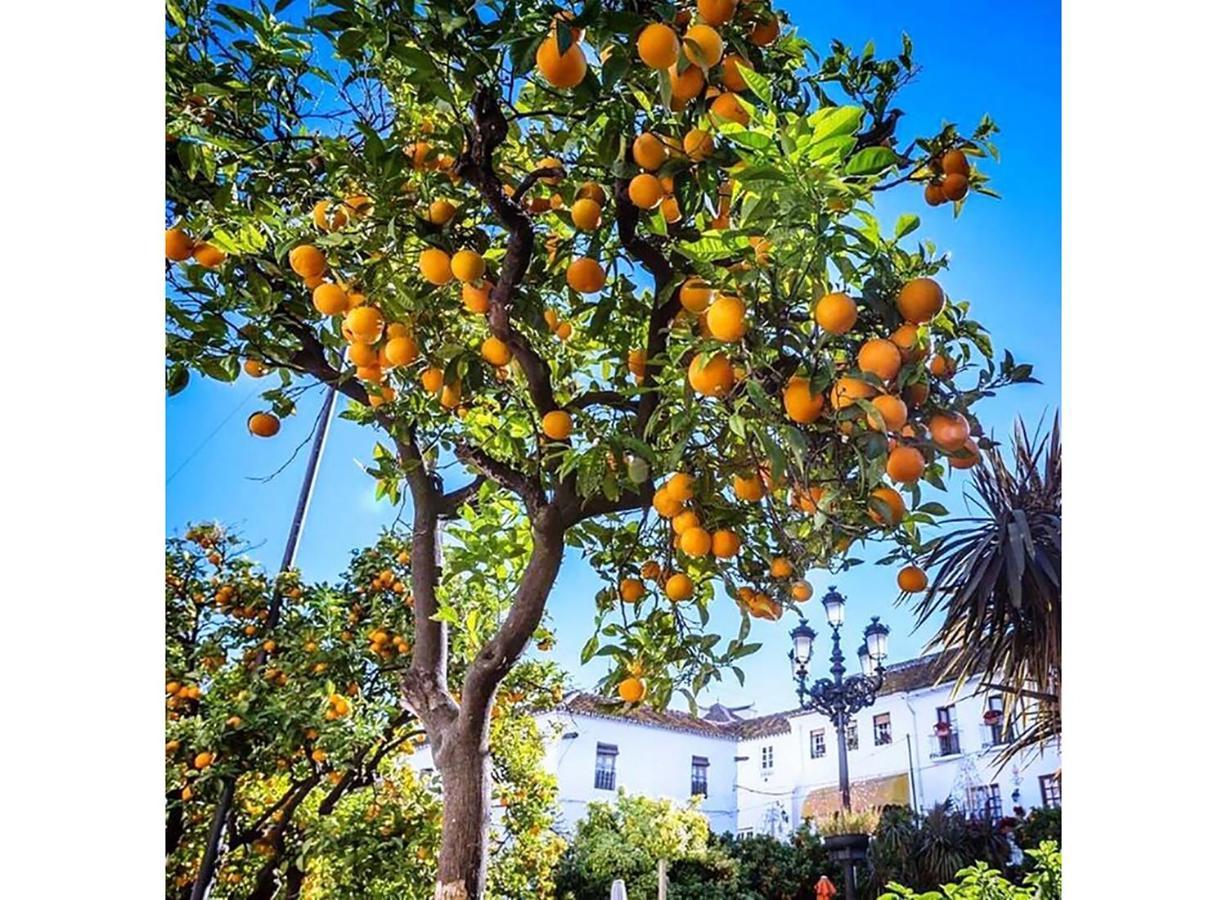 Costa Del Sol Bel Vue Exceptionnelle Sur Appartement Málaga